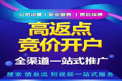 某电商平台SEM竞价广告的转化率提升案例